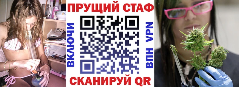 ГАШ Старица