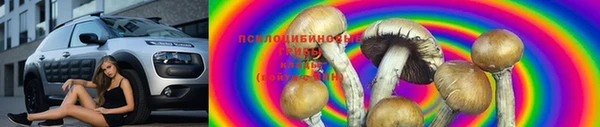 шишки Алексин