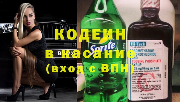 шишки Алексин