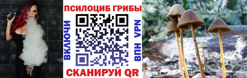 Псилоцибиновые грибы Psilocybe  Старица 