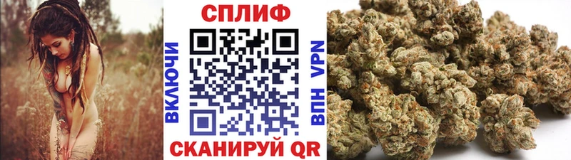 Канабис Ganja  Старица 